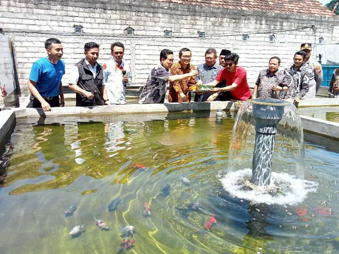 Peluang Pasar Budidaya Koi di Tulungagung