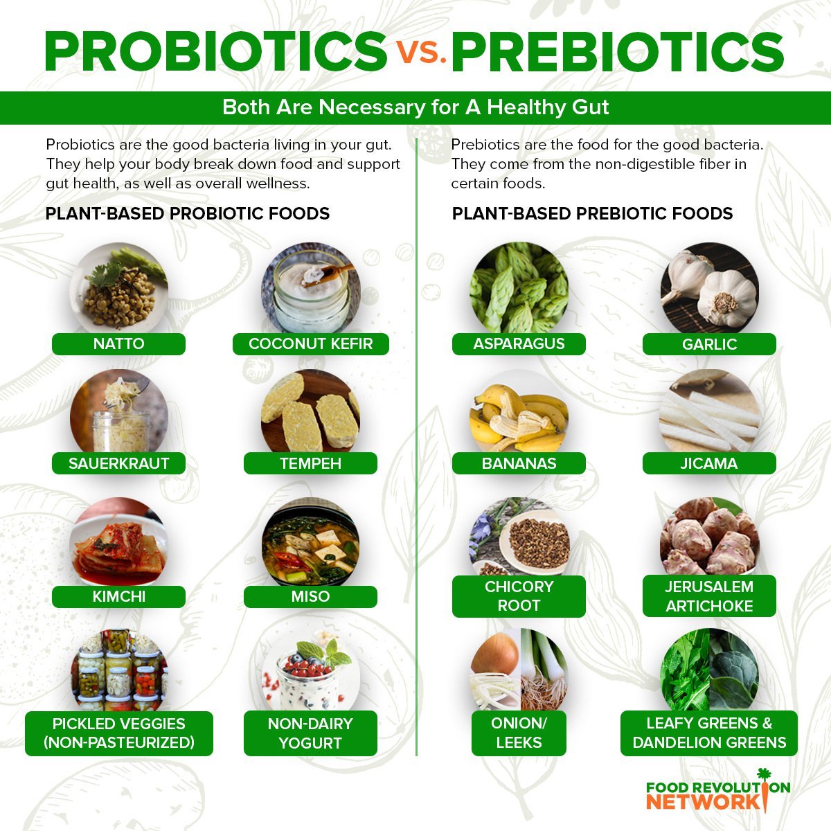 Manfaat Pakan Koi yang Mengandung Probiotik