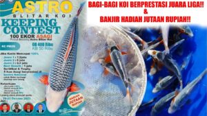 Daftar Harga Pakan Koi di Tulungagung Terbaru