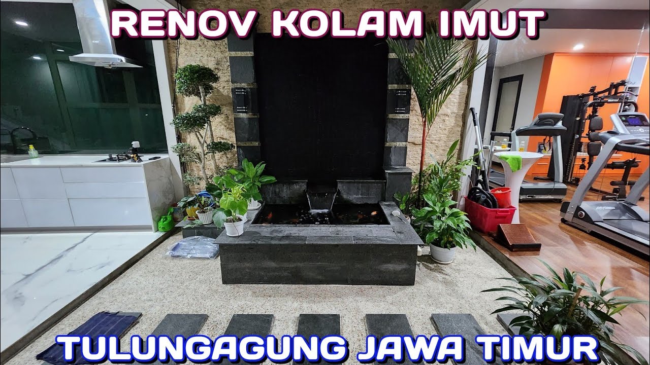 Jenis Pakan Koi untuk Burayak/Anakan Koi di Tulungagung