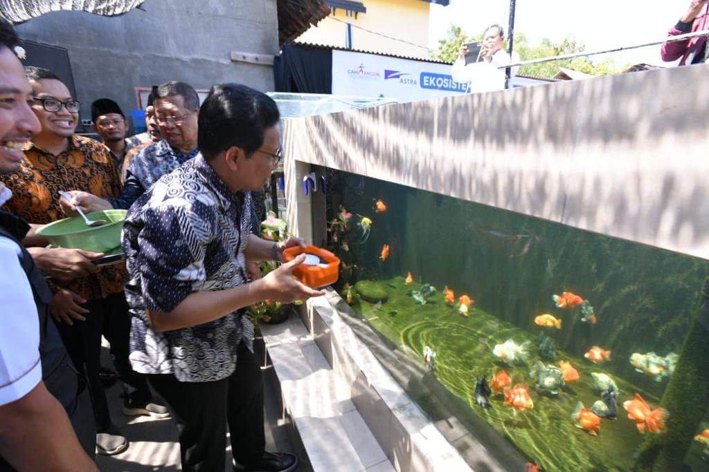 Inovasi Terbaru Pakan Koi di Tulungagung